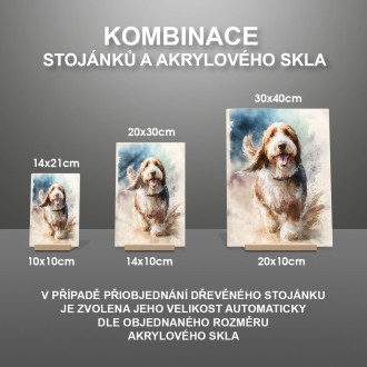 Velký basset Griffon Vendéen akvarel