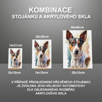 Krysí teriér akvarel