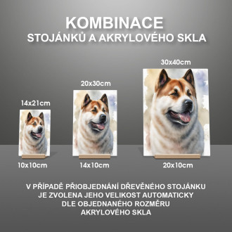 Akita akvarel