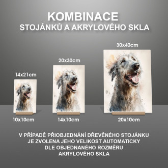 Irský vlkodav akvarel