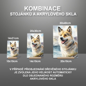 Norský buhund akvarel