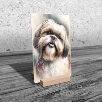 Shih Tzu akvarel