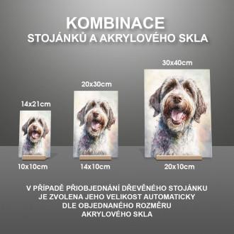 Foxteriér drsnosrstý akvarel