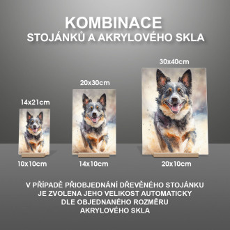 Mudi akvarel