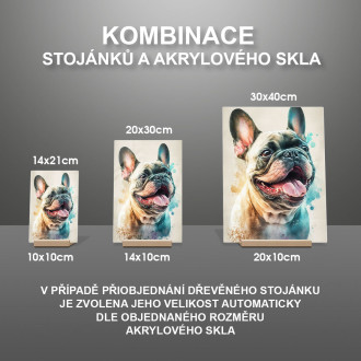 Francouzský buldoček akvarel