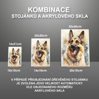 Německý ovčák akvarel