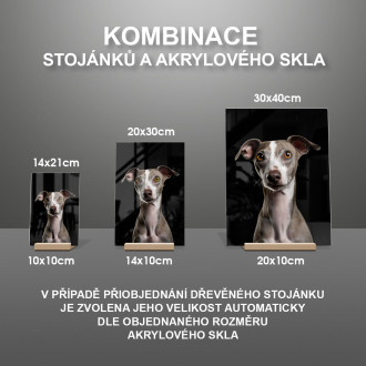 Italský chrtík realistic