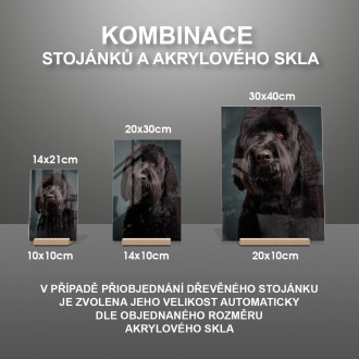 Černý ruský teriér realistic