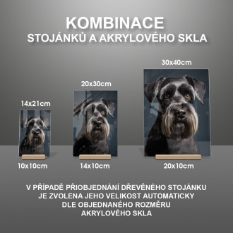 Knírač standartní realistic