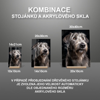 Irský vlkodav realistic