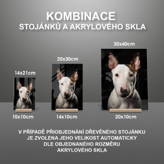 Miniaturní bulteriér realistic