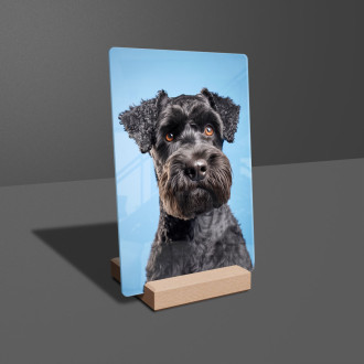 Kerry Blue Terrier realistic