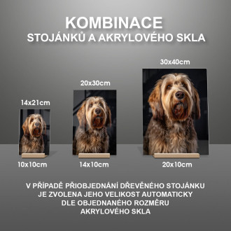 Otterhound realistic