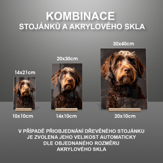 Španělský vodní pes realistic
