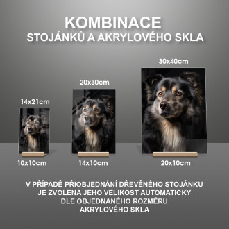 Finský Lapphund realistic