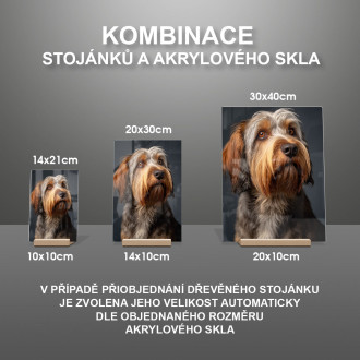 Velký basset Griffon Vendéen realistic