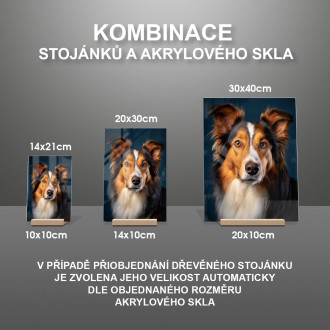 Kolie realistic