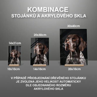 Německý ohař krátkosrstý realistic