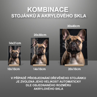 Francouzský buldoček realistic