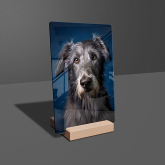 Skotský deerhound realistic