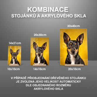 Krysí teriér realistic