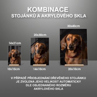 Jezevčík realistic