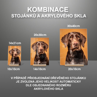 Německý ohař drátosrstý realistic