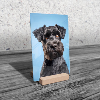 Kerry Blue Terrier realistic