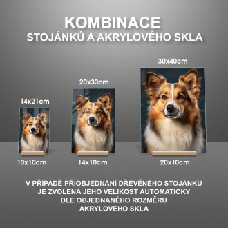 Islandský ovčák realistic