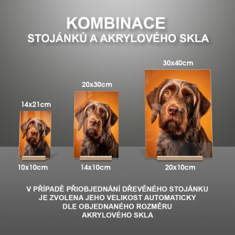 Český fousek realistic