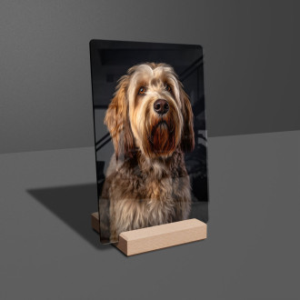 Otterhound realistic