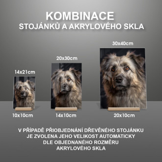 Pyrenejský ovčák realistic
