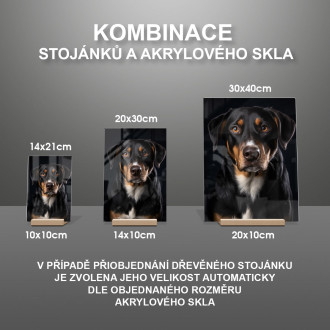 Entlebucherský salašnický pes realistic
