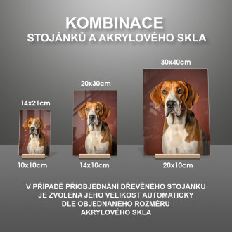 Anglický Foxhound realistic