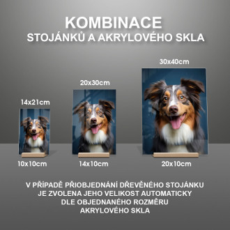Miniaturní americký ovčák realistic