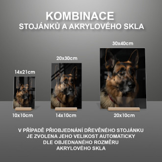 Německý ovčák realistic