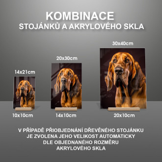 Bloodhound realistic