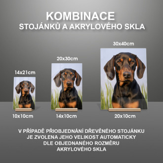 Black and Tan Coonhound realistic