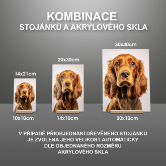 Kokršpaněl realistic
