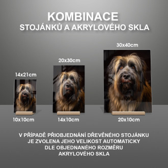 Briard realistic