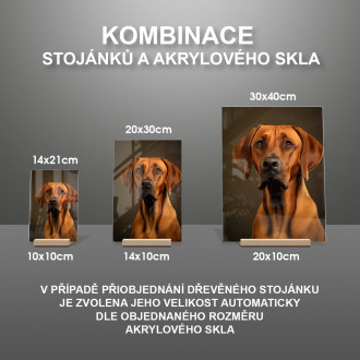 Rhodéský ridgeback realistic