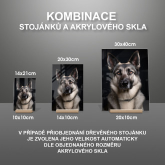 Norský elkhound realistic