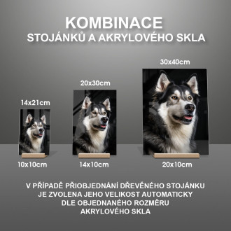 Sibiřský husky realistic