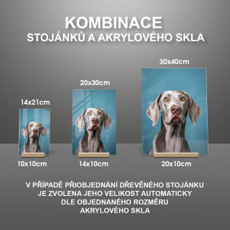 Výmarský ohař realistic