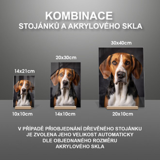 Americký foxhound realistic