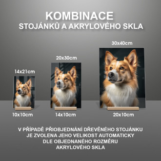 Norský Lundehund realistic