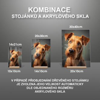 Irský teriér realistic