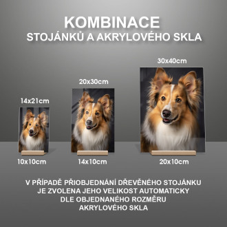 Shetlandský ovčák realistic