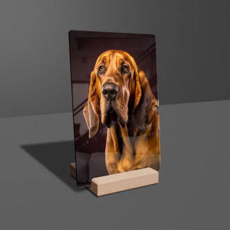 Bloodhound realistic