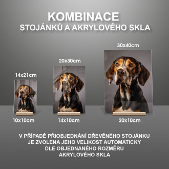 Americký anglický coonhound realistic